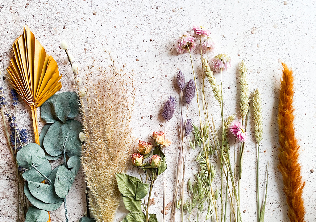 ¿Qué Aceite Esencial o Esencia Aromática elegir?