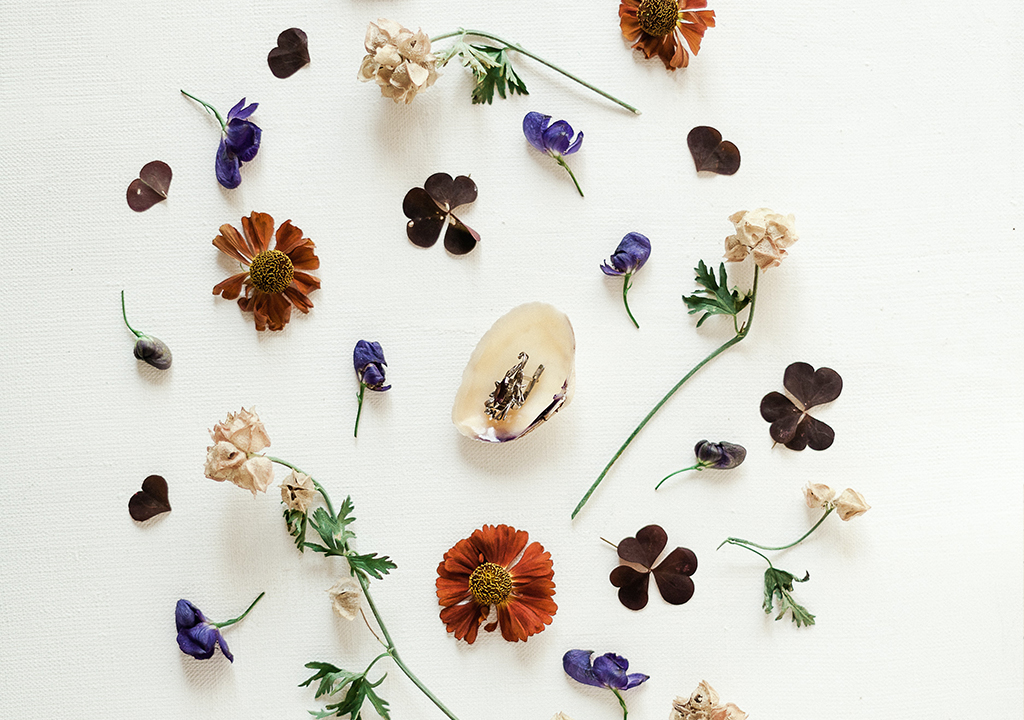 ¿Qué Aceite Esencial o Esencia Aromática elegir?