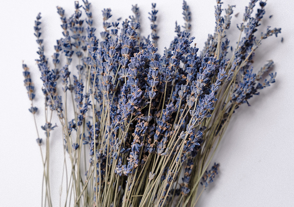 3 Beneficios del Aceite Esencial de Lavanda